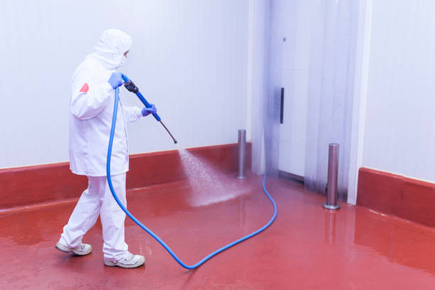Best Paint Preparation  in Oak Leaf, TX